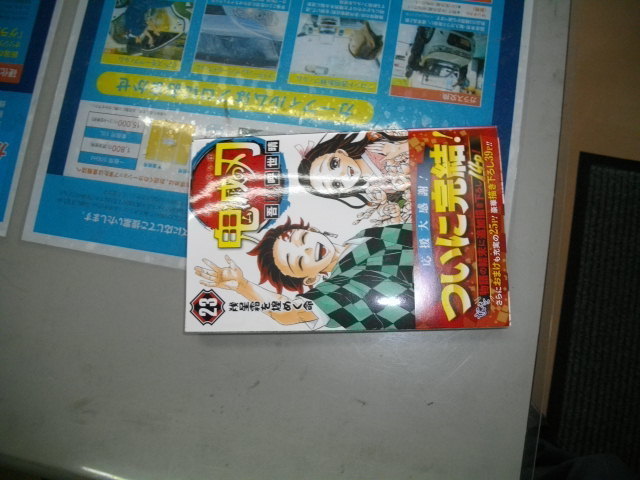 IMGP0805.JPG