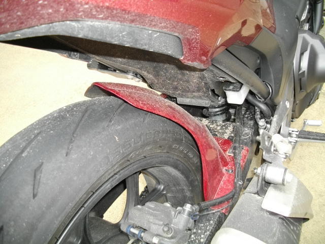 IMGP3344.JPG