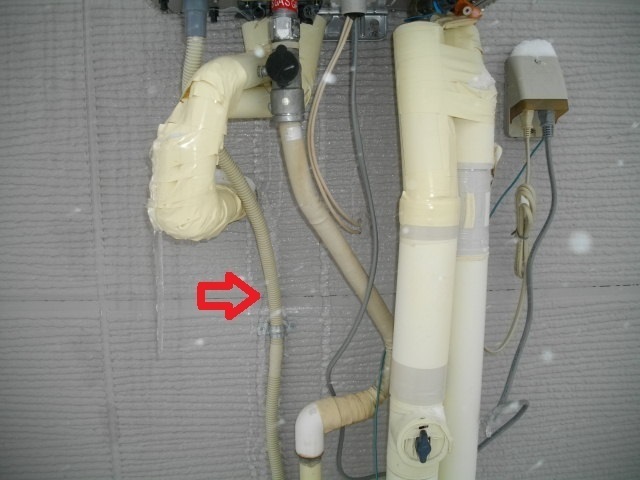 IMGP4390.JPG